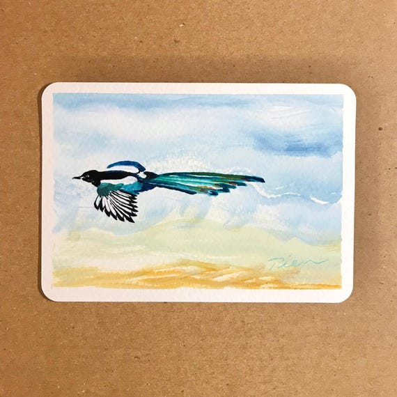 Black-billed Magpie ~ Postcard Painting #13