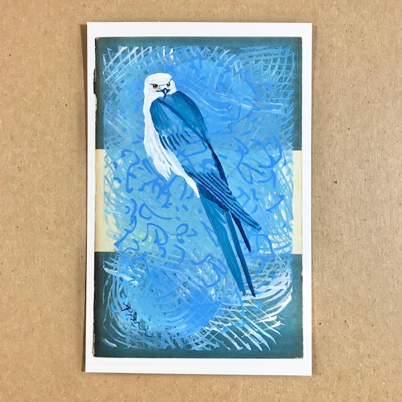 Swallow-tailed Kite Painting, Original Art, 4x6 Postcard
