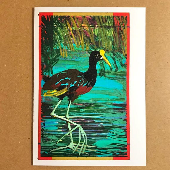 1 Jacana Card