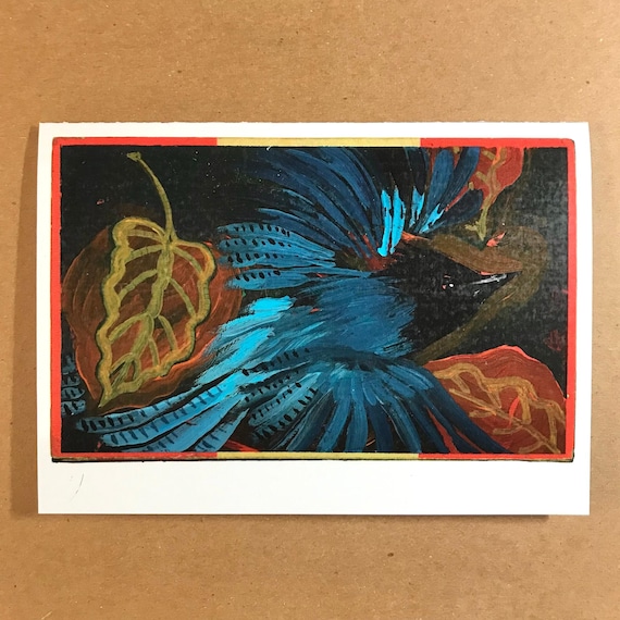 1 Steller's Jay Card