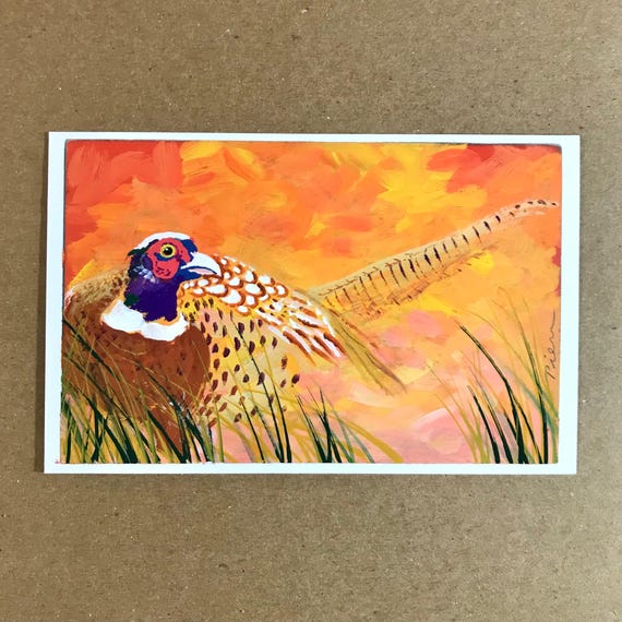 Ring-necked Pheasant ~ Postcard Painting #141