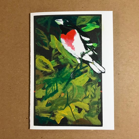 1 Rose-breasted Grosbeak Card