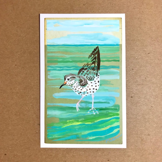 Spotted Sandpiper ~ Postcard Painting #164