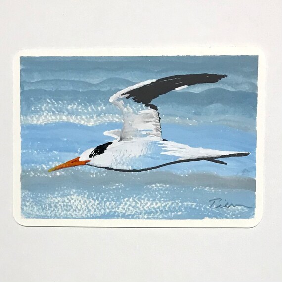 Elegant Tern ~ Postcard Painting ~ Ready to Ship!