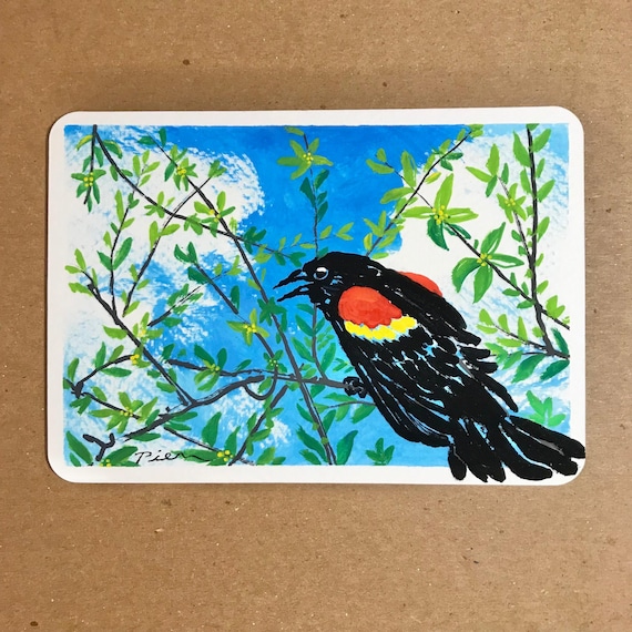 Red-winged Blackbird ~ Postcard Painting #76