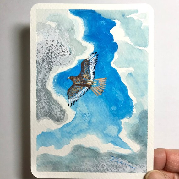 Red-tailed Hawk ~ Postcard Painting #37 ~ Ready to Ship!