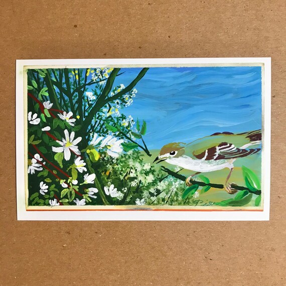 Hutton's Vireo ~ Postcard Painting #80