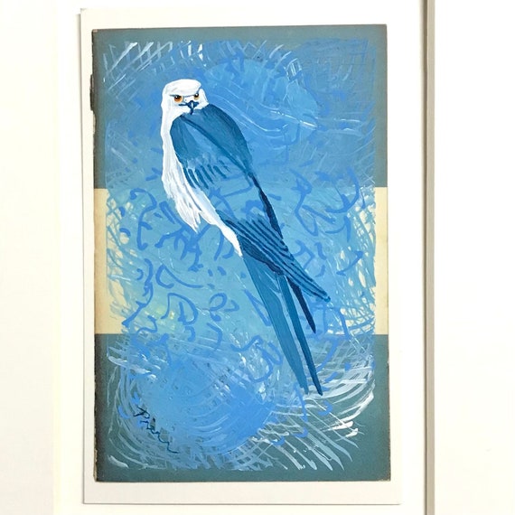 Swallow-tailed Kite ~ Postcard Painting #34