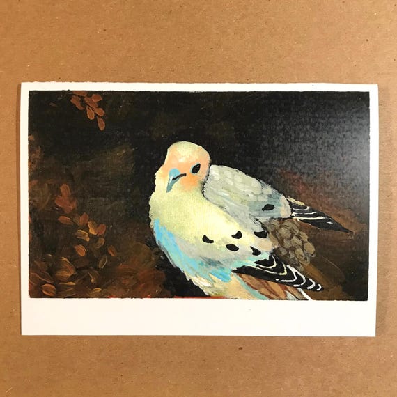 1 Mourning Dove Card