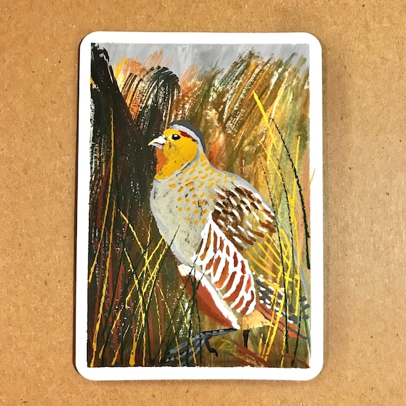 Gray Partridge ~ Postcard Painting #14