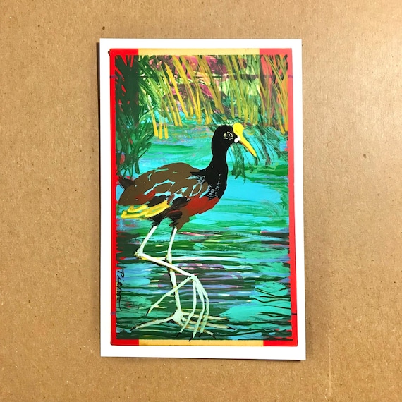 Jacana Painting, Original Art, 4x6 Postcard