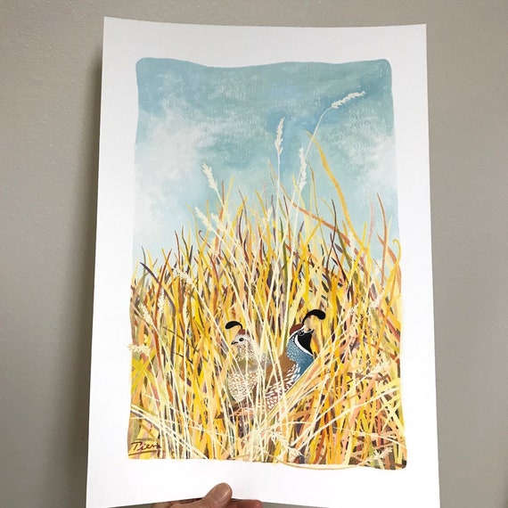 Quail Grass, Archival Art Print