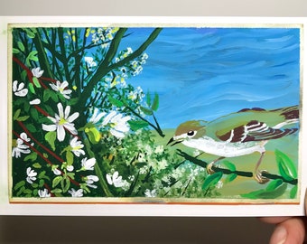 Hutton's Vireo ~ Postcard Painting #80 ~ Ready to Ship!