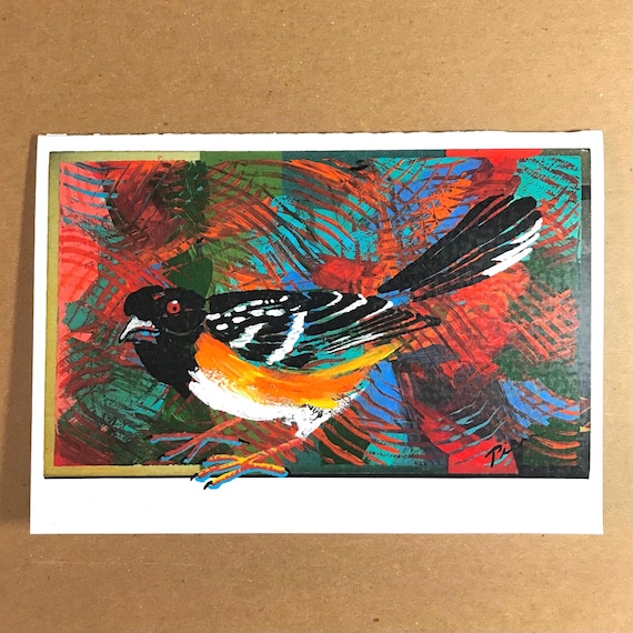 1 Spotted Towhee Card