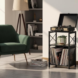 May include: A dark green armchair with gold legs sits near a black metal record player stand. The stand holds a record player, a potted plant, and vinyl records. A floor lamp and bookshelf are in the background.
