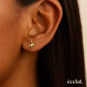 Orecchini a lobo a forma di stella delicati, orecchini a stella minuscoli, orecchini a lobo a forma di stella esplosiva, orecchini a lobo dorati, orecchini a lobo a forma di costellazione, orecchini celestiali
