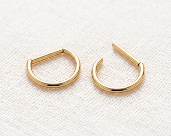 16G Titanium Hoop Earring, D-Shaped Hinged Hoop, Seamless Clicker Hoops, Helix Hoop, Septum Hoop, Nose Piercing, Earlobe Piercing