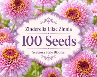 100 Zinderella Lilac Zinnia Seeds | Scabiosa Style Blooms | Unique Heirloom Cut Flower | Cottage Garden Seeds