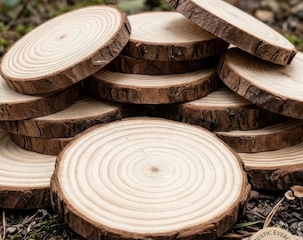 10 Pcs Rustic Pine Wood Discs – Natural Round Blank Tree Slices For DIY Crafts, Wedding Decorations, Coasters, Backdrop And Photo Props