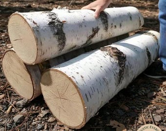 Set of 3 Large Birch Logs – Rustic Fireplace Display, Kiln Dried Birchwood Mantel Decor, and Woodland Craft Supplies for Indoor Home Accents