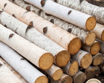 8 Pcs Natural Birch Logs – Decorative Kiln Dried Wood for Fireplace Styling, Rustic Wedding Centerpieces, DIY Crafts, Ornaments Home Décor