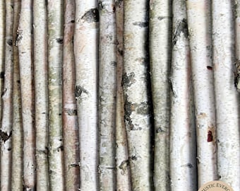 Natural White Birch Wood Poles – Kiln Dried Rustic Birch Sticks for Fireplace Display, Mantel Decor, Craft Projects, Woodland Home Accents