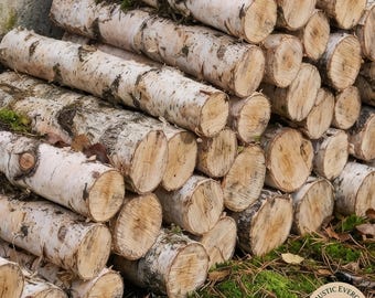 8 Pcs Birch Tree Logs For Fireplace Decor Crafts – Natural Birch Wood Sticks For Rustic Home Decoration, Diy Projects, And Creative Display