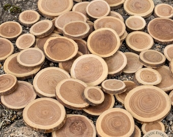 50 Natural Wood Slab Rustic Wood Planks With Wood Slices And Wood Slabs For Table Center Decor Plus Wood Slice Set Crafts And Wooden Signage