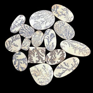 Peut inclure: Une collection de cabochons en agate dendritique de formes variées, dont ovales, en goutte et carrées. Les pierres présentent une base crème avec des motifs complexes en forme de fougère dans des tons gris et marron. Les cabochons sont présentés sur fond noir.