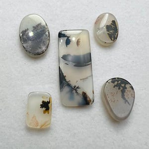 May include: Five polished dendritic agate cabochons of varying shapes and sizes. Each stone features a translucent, milky white base with distinct, dark, fern-like inclusions that resemble natural landscapes or branching patterns throughout the surface.