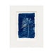 see more listings in the Cyanotypes section