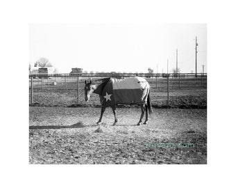 Texas Horse Coat - Giclée Print from 35mm Photograph, Black-and-White Film