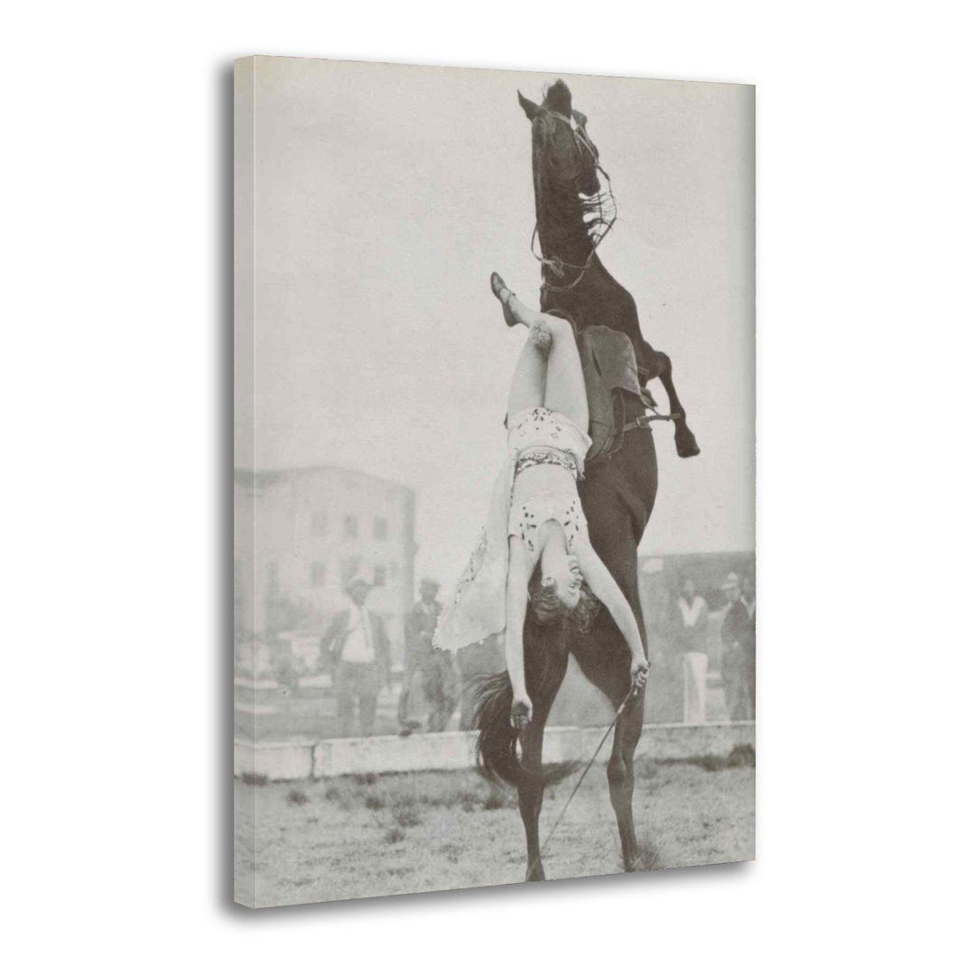 Vintage Equestrian Acrobat Photo Rearing Horse Circus Performer Antique ...