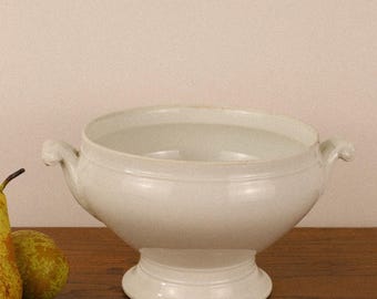 Antique 19th Century Ironstone Tureen