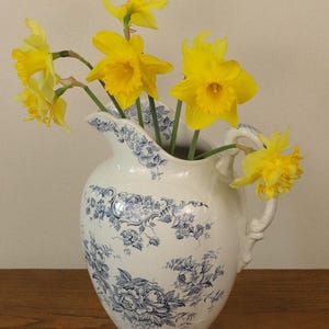 May include: A white ceramic jug featuring a blue floral pattern with a curved handle and a scalloped rim. The jug is filled with several bright yellow daffodils with green stems, with one flower resting near the handle.