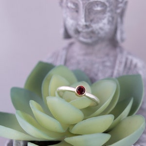 May include: A silver ring with a small, round, red gemstone set in a gold band. The ring is resting on a green succulent plant.
