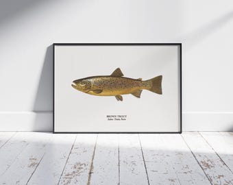 Póster de trucha – Ilustración de trucha – Arte mural de pesca con mosca – Decoración de naturaleza y cabañas