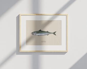 Póster / pesca / caballa / pez / cabaña / arte mural / vintage