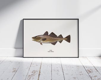 Póster de bacalao / Bacalao – Arte mural de pesca retro | Decoración náutica para el hogar
