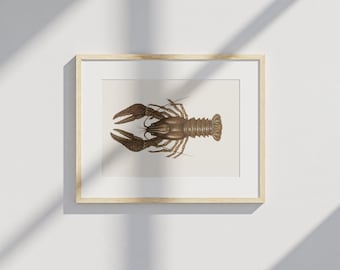 Póster de cangrejo de río / Cáncer – Arte mural de pesca retro | Decoración náutica para el hogar