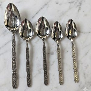 May include: A set of five silver-toned metal spoons of varying sizes arranged in a row. Each spoon features a polished, reflective bowl and a handle decorated with a repeating embossed floral and geometric pattern along its entire length.