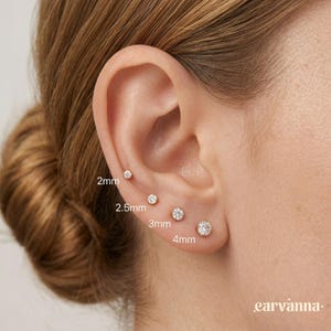 Puede incluir: Primer plano de una oreja con cinco pendientes de botón de diferentes tamaños, de 2 mm a 4 mm. Los pendientes son redondos y tienen un aspecto claro y brillante. El nombre de la marca "earvanna" es visible en la esquina inferior derecha.