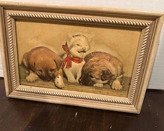 May include: A framed print featuring a kitten and two puppies. The kitten, with a red bow, is smiling. The puppies are brown and tan. The frame is light-colored with a rope-like border.
