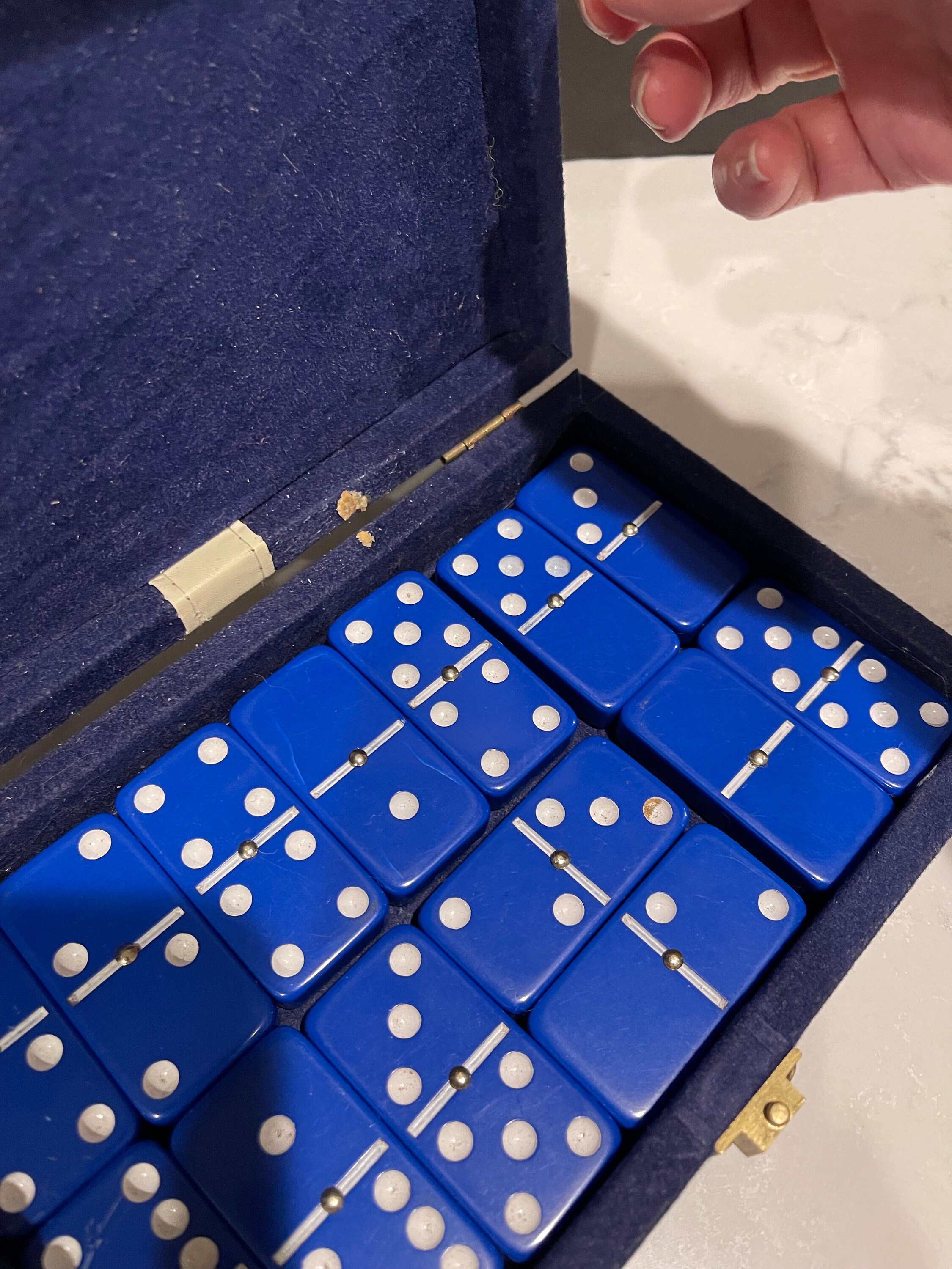Vintage Blue Dominoes Game Double 6 Game With Case and