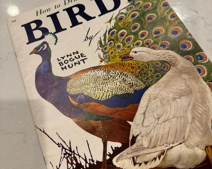 Vintage How to Draw & Paint Birds Lynn Bogue Hunt Walter Foster Art ...