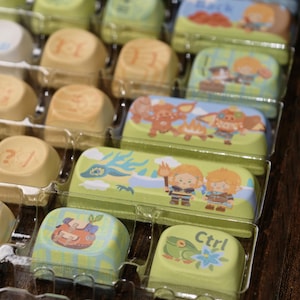 Puede incluir: Una colecci&oacute;n de teclas personalizadas con varios dise&ntilde;os. Las teclas est&aacute;n en una bandeja de pl&aacute;stico transparente. Algunas teclas tienen ilustraciones de dibujos animados de personajes, animales y paisajes. Otras teclas tienen s&iacute;mbolos y texto, incluida la palabra "Ctrl".
