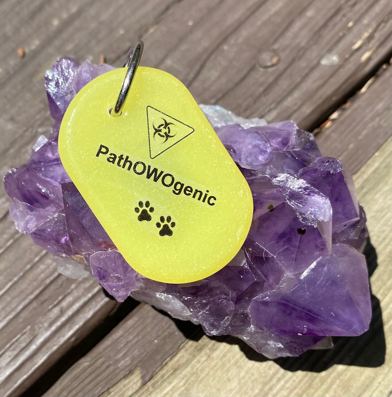 PathOWOgenic tag pendant or key ring image 6