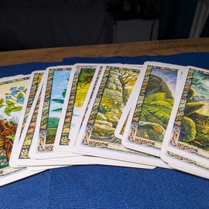 Könnte beinhalten: Ein Fächer aus rechteckigen Tarotkarten mit detaillierten Naturillustrationen. Jede Karte hat einen dekorativen Rand mit Blattmotiven. Die sichtbaren Bilder zeigen blaue Blumen, einen Holzzaun, Steinpfade, grüne Farne und eine Pflanze mit der Aufschrift Ivy.