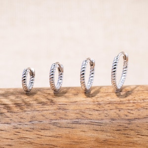 May include: Four silver-toned hoop earrings arranged in a row by size, from smallest to largest. Each hoop features a twisted rope-like texture and a hinged closure mechanism, showcasing a polished metallic finish throughout the design.
