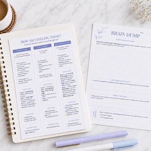 Pu&ograve; includere: Un'agenda a spirale e un foglio di carta separato con le intestazioni HOW AM I FEELING TODAY e BRAIN DUMP. Le pagine contengono testo stampato, liste di controllo e sezioni a punti in inchiostro blu. Due penne viola chiaro sono appoggiate.
